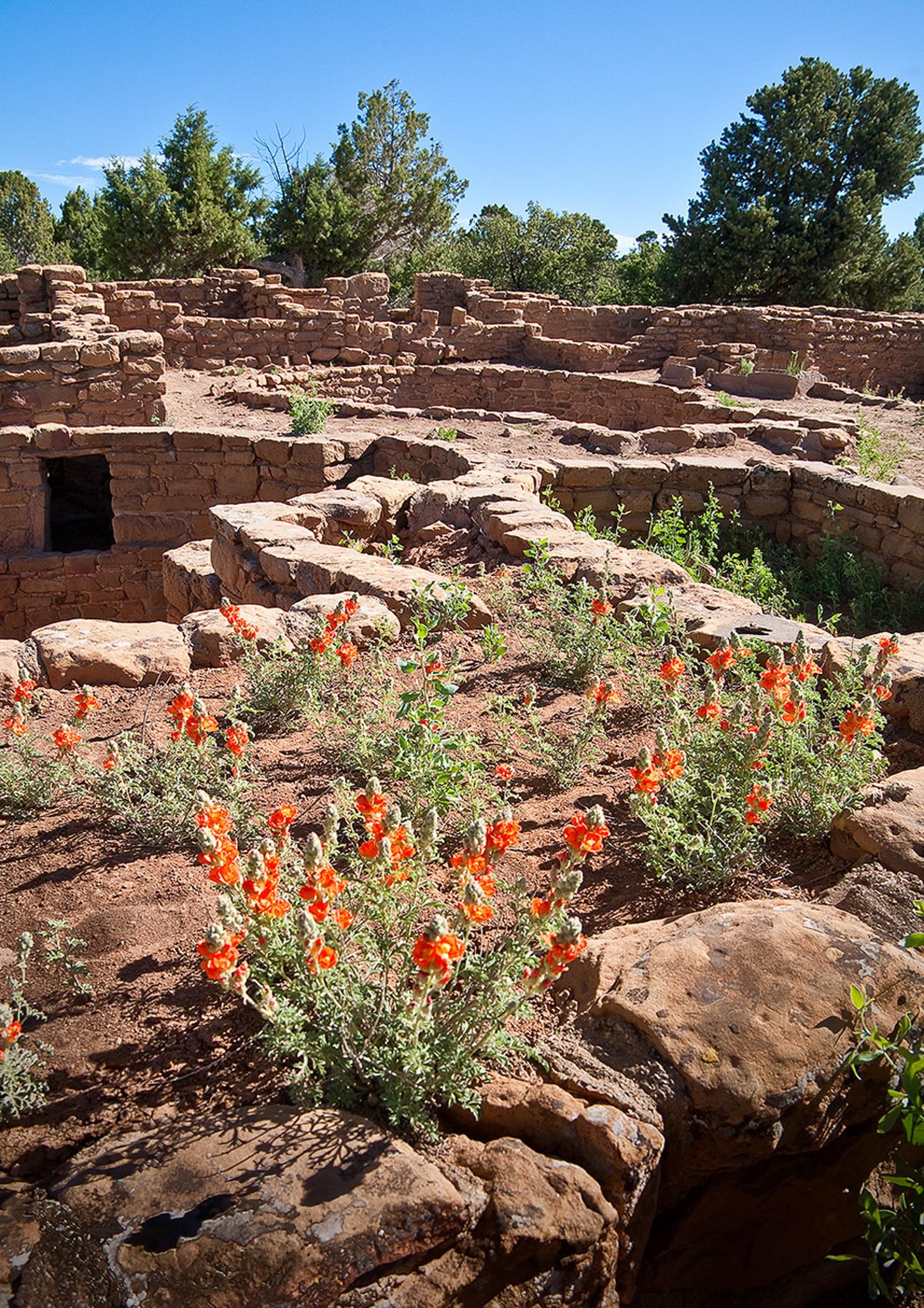 Far View Lodge Mesa Verde National Park Eksteriør billede